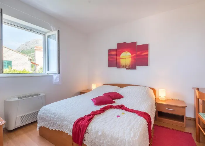 And Bouganvillea * Mlini